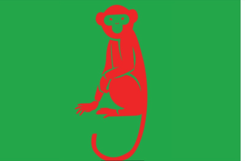 Volledige vlag van Apeland