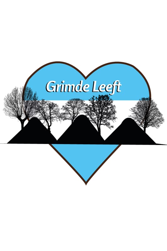 Vlag van Grimde