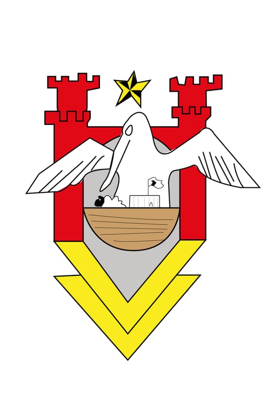 Vlag van VeDoVe