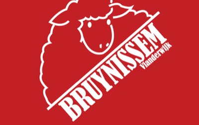 Vlag van Vianderwijk