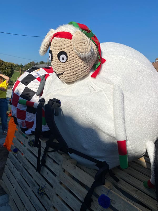 Schaap Kamiel van Apeland