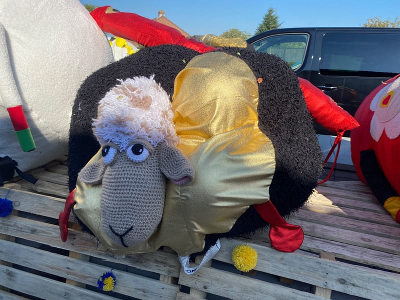 Schaap Timmy 2.0 van Meer - Goetsenhoven