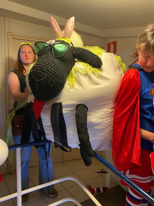 Schaap Mully van Mulk - Overlaar