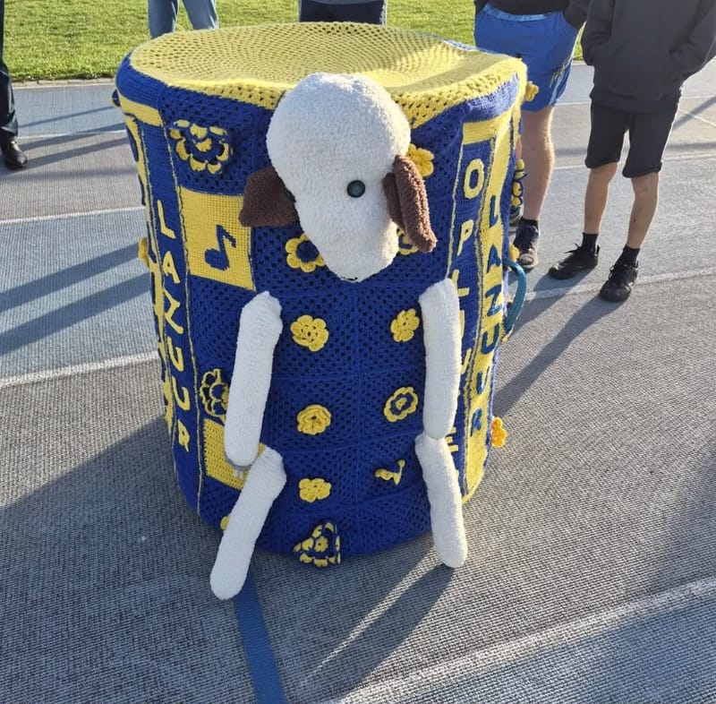 Schaap Wannes van Oplinter