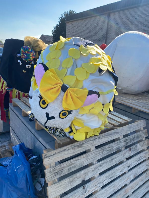 Schaap Doni van VeDoVe