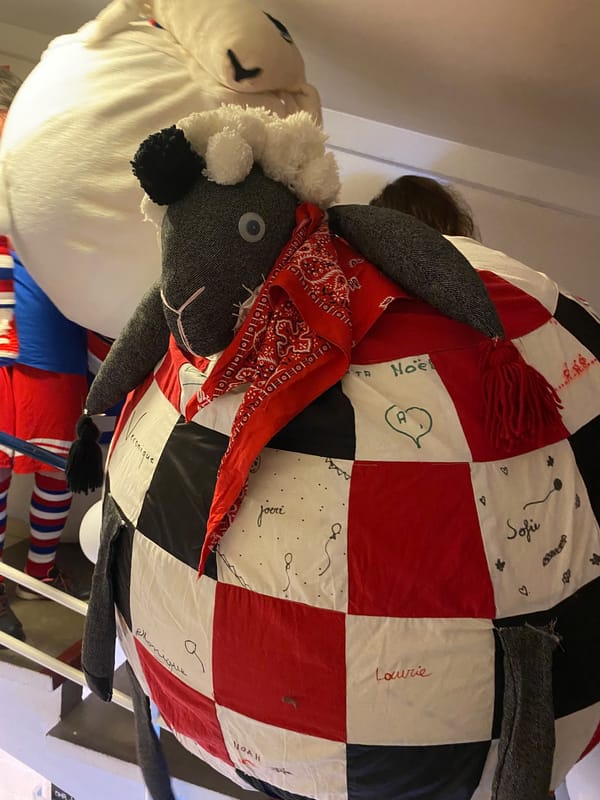 Schaap Vieke van Vianderwijk